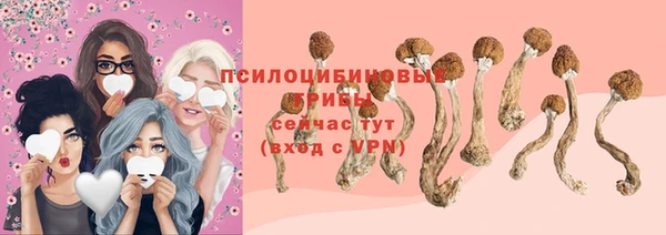 крисы Арсеньев
