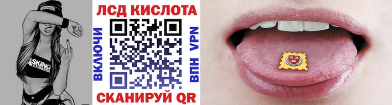 Марки N-bome 1,5мг  сколько стоит  MEGA ONION  даркнет как зайти  Бакал 
